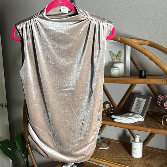 Sage Green Velvet Sleeveless Top - Picture 1 of 8